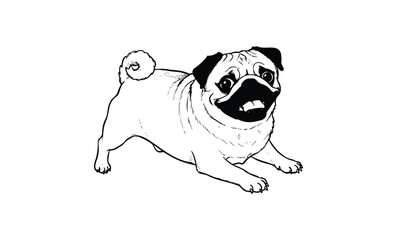 Playful cartoon pug illustration with expressive features. Vector retro hand drawn illustration