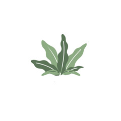 Green plant