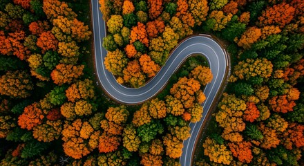 Aerial shot of curved road among fall trees