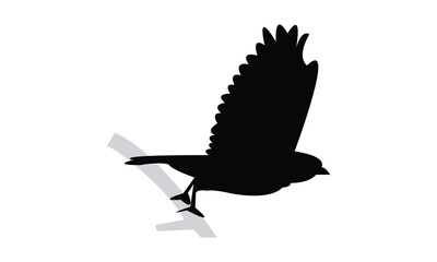 Flying American goldfinch bird Silhouette Design  And Vector Illustration. 