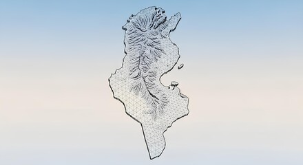 3D Topographic Wireframe Map of Tunisia on a Gradient Background