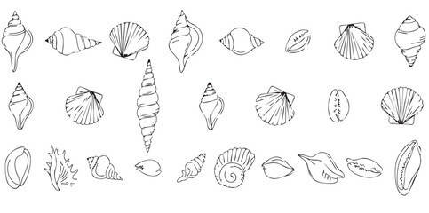 Set of hand drawn seashells drawing ink. Minimalist line art. Summer vacation design elements for trendy prints, label, menu cover. Tropical beach shells. Vector flat illustration
