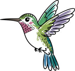 Obraz premium hummingbird Crayon style transparent png vector