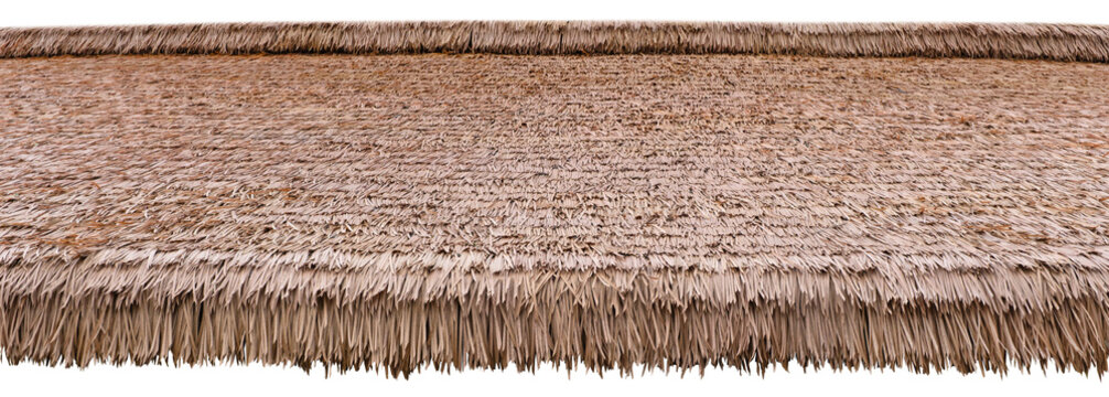 Thatched roof material in warm beige color. Thatching straw roof isolated. Straw pattern thatched grass roof