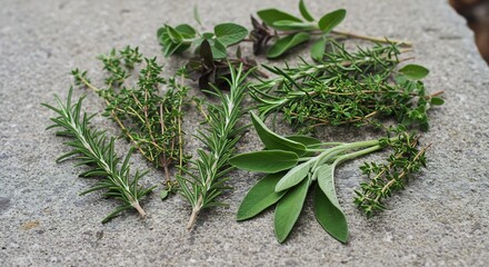 Fresh various herbs including rosemary thyme and sage on a gray textured stone surface
