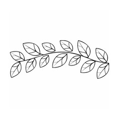 Black and white botanical branch with leaves outline