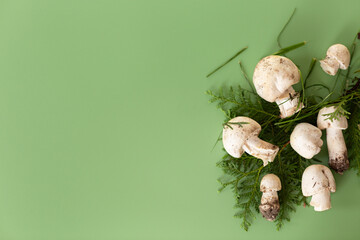Natural champignon mushrooms on green background