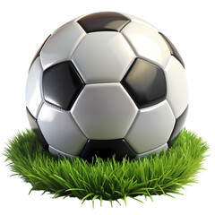 Soccer Ball on Lush Green Grass