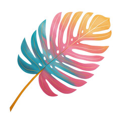 peacock feather isolated on white rainbow color