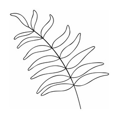 Delicate fern frond outline leaf plant