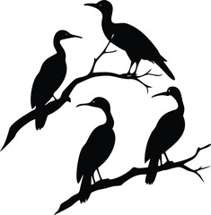 Obraz premium Silhouette of Four Cormorant Birds Perched on Bare Branches Against a White Background