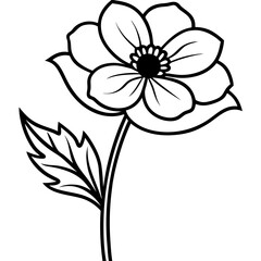 Single Bloom Anemone — White BG Vector