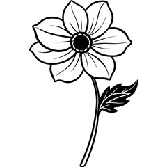 Single Bloom Anemone — White BG Vector