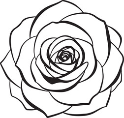 Monochrome Vector Rose Illustration Featuring Intricate Petal Outlines and a Detailed Center Design Perfect for Art or Decoration