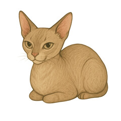 Devon Rex, or hairless cat, has a unique character, warm, wood-like lines, and a vintage style. isolated transparent  rex cat vintage illustration, Exotic Cat Breed Posters and Vector Portraits 