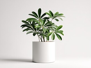 Ai generated image of a healthy green potted plant with lush leaves, isolated on white background