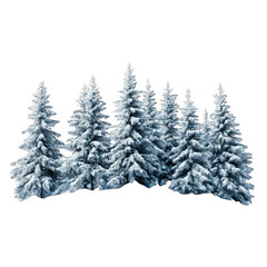 Snow covered evergreen trees on black background