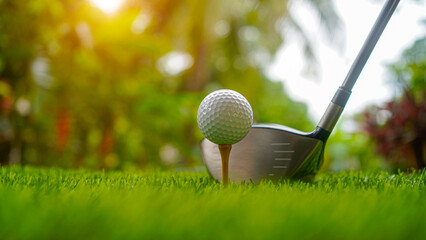Golf clubs and golf balls on a green lawn in a beautiful golf course.