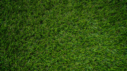 Fototapeta premium Green grass top view background of garden bright grass concept used for making green backdrop.