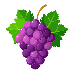 Bunch of purple grapes with green leaves isolated on white background