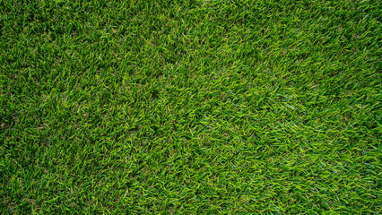 Fototapeta premium Green grass top view background of garden bright grass concept used for making green backdrop.