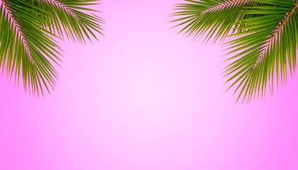 Pink background with vibrant green palm fronds forming a frame