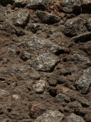 Close-Up View of Uneven Ground with Embedded Rocks and Debris