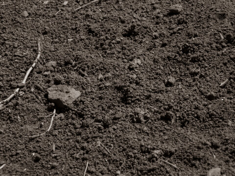 Close-Up View of Dark, Rich, and Textured Soil