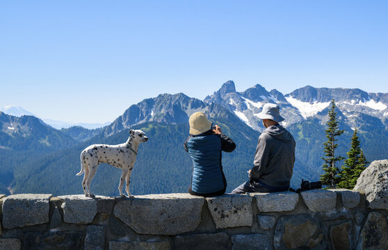 Couple and their dog enjoying the beautiful views at Sunrise Trail. Mt Rainier National Park. Washington State.