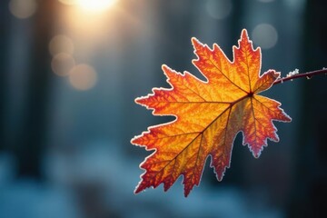 Single frosted orange oak leaf, delicate frost clinging , macro, window, fall