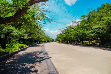 The view of Ueno Park in Tokyo, Japan
