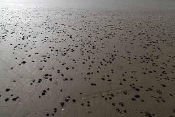 high angle view of the wet beach with crab holes
