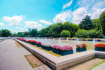 The view of Ueno Park in Tokyo, Japan