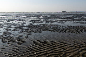 view of the mudflat at the beach