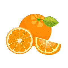 Orange. Set with whole, slice and wedge of orange on white background. Tropical fruit season. Realistic vector illustration.