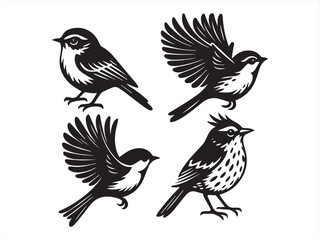Obraz premium Set of Flying and Standing Birds - Black and White Vector Silhouette Illustration