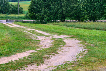Quiet country path winding through lush green fields under a clear sky