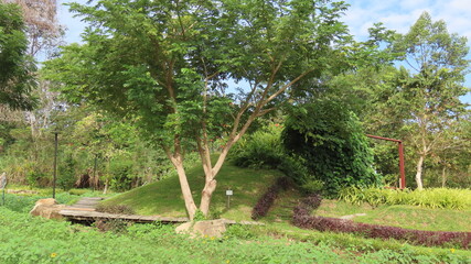 Beautiful nature in the botanical garden in Siem Reap, Cambodia in November