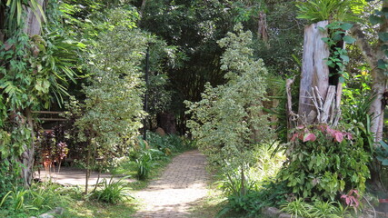 Beautiful nature in the botanical garden in Siem Reap, Cambodia in November