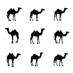 Naklejka premium A Collection Of Wolf Silhouettes Are Presented In Various Poses Against White Background