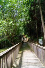 Obraz premium 夏の県立ぐんま天文台 駐車場から続く木道 群馬県高山村