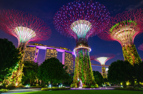 View of the several tree-like vertical gardens in the Gardens by the Bay at night in Singapore. - Powered by Adobe