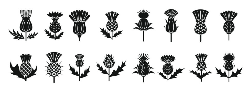  thistle icons set simple vector scottish flower