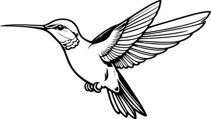 Obraz premium vector illustration of a hummingbird