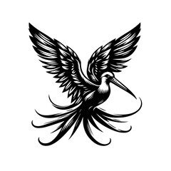 A hummingbird with long tail feathers, black and white