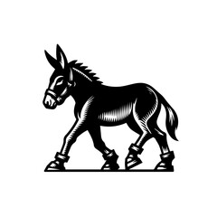 Obraz premium A black donkey walks with its head held high