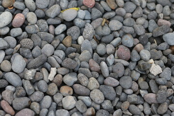 Coral stone is a good alternative for interior design of rooms and yards.