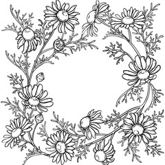 Chamomile Branch with Flowers and Leaves Outline Frame. Ingredient for cosmetics, health care, alternative medicine. Vector isolated for design or decoration.