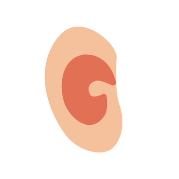 ear anatomy simple flat icon illustration