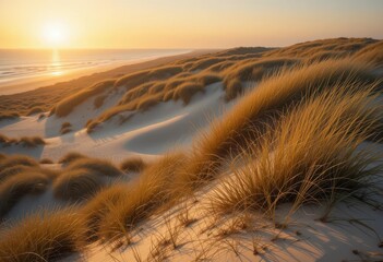  Guardians of the Shore Showcasing the Beauty and Importance of Coastal Dunes in Protecting Coastlines from Erosion and Storm